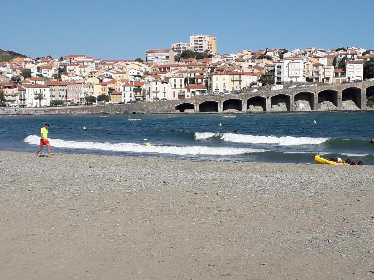 Banyuls La Grande Bleue : Studio T1 エクステリア 写真