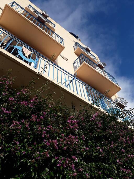 Banyuls La Grande Bleue : Studio T1 エクステリア 写真
