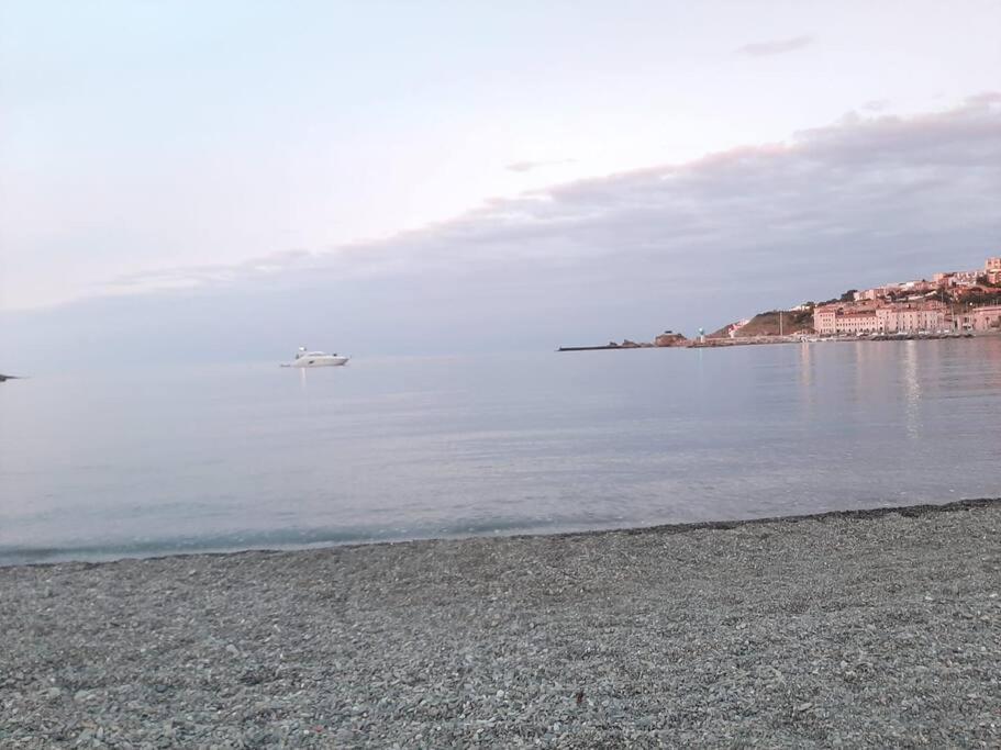 Banyuls La Grande Bleue : Studio T1 エクステリア 写真