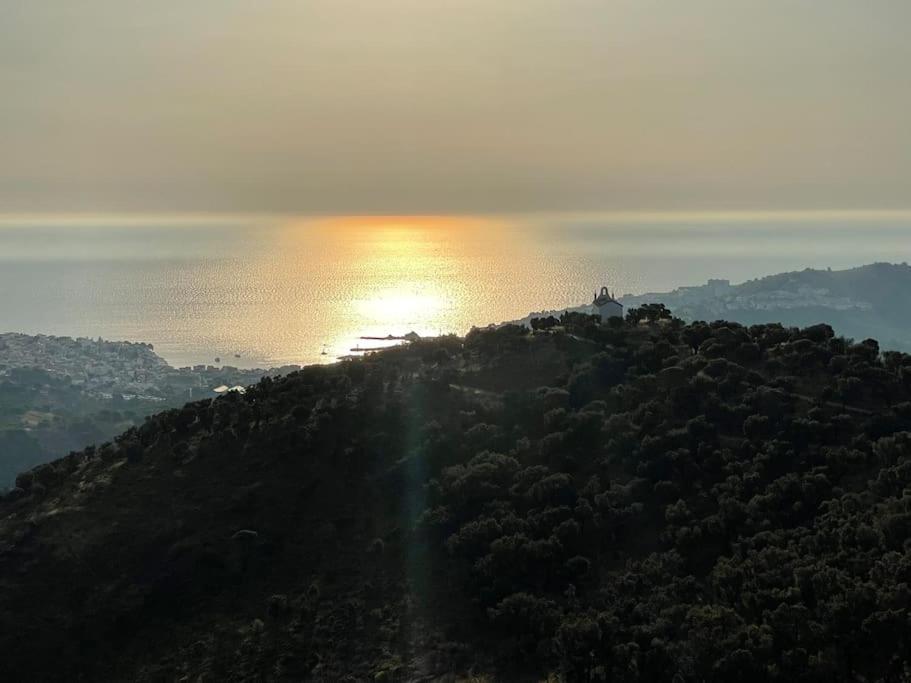 Banyuls La Grande Bleue : Studio T1 エクステリア 写真